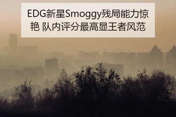EDG新星Smoggy残局能力惊艳 队内评分最高显王者风范